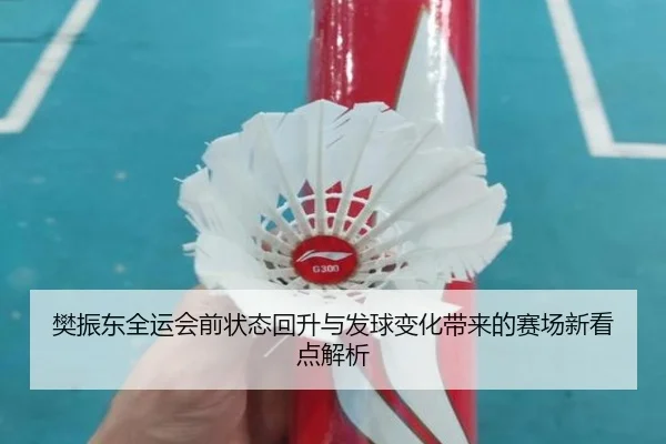 樊振东全运会前状态回升与发球变化带来的赛场新看点解析 | kaiyun